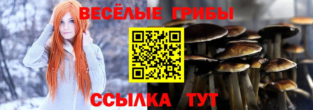 Электросталь  Галлюциногенные грибы ЛСД  Галлюциногенные грибы Psilocybe  Вход с VPN 